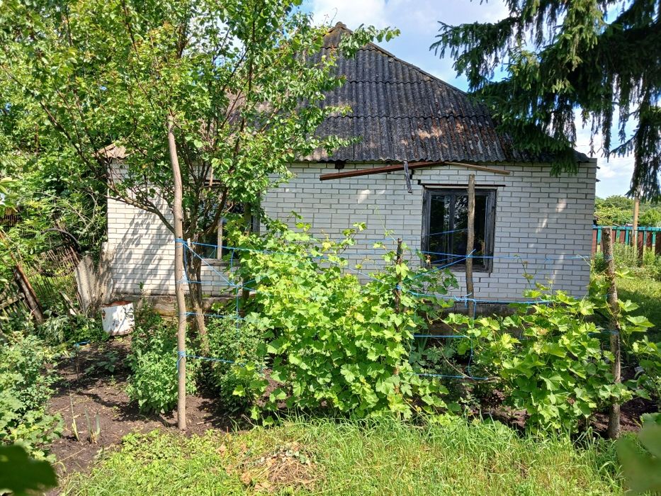 Продам дачу в селі Богданівка