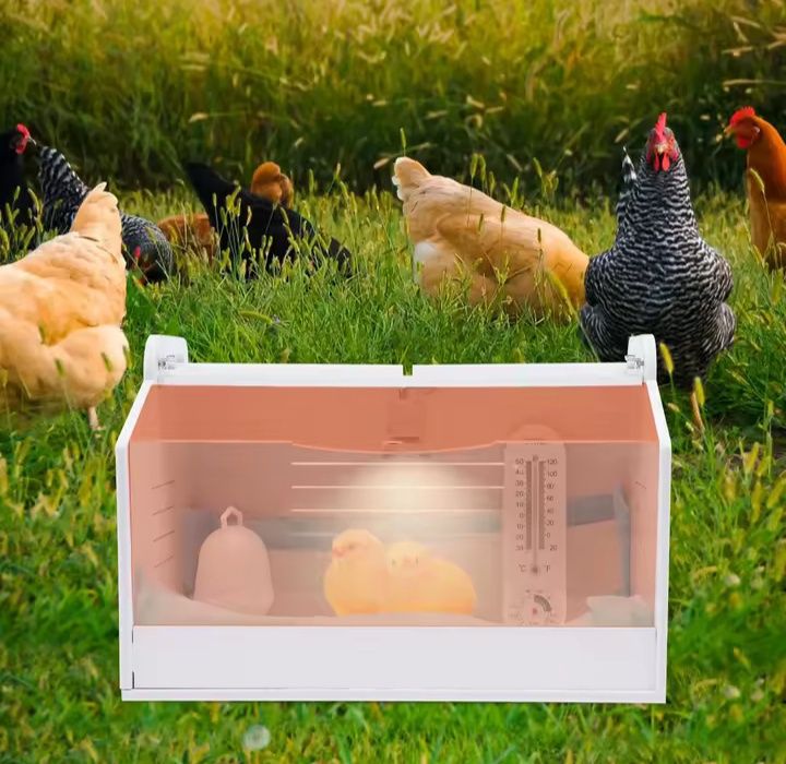 Incubadora

Inclui termómetro
Lâmpada de aquecimento 25w
Comedouro

Me