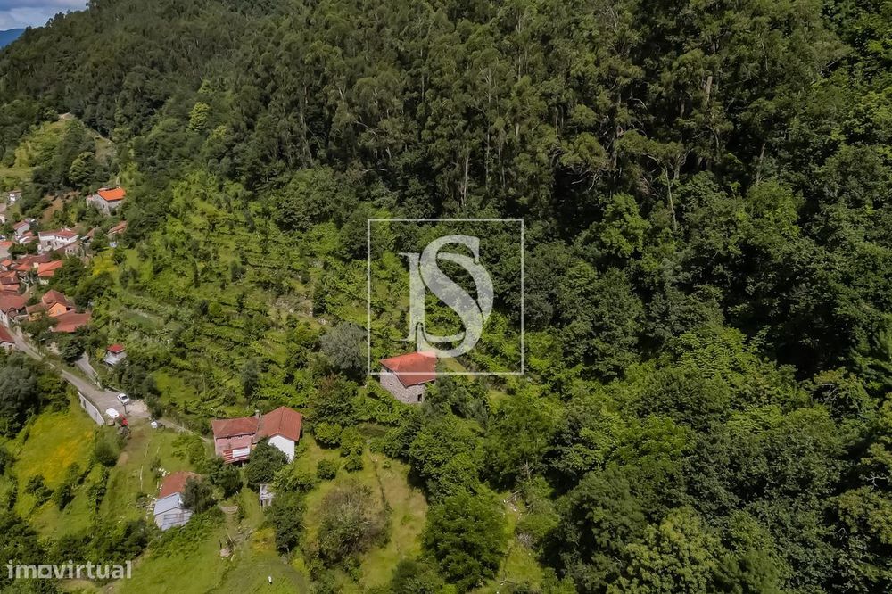 Moradia para Restaurar T2 Venda em Carvalheira,Terras de Bouro