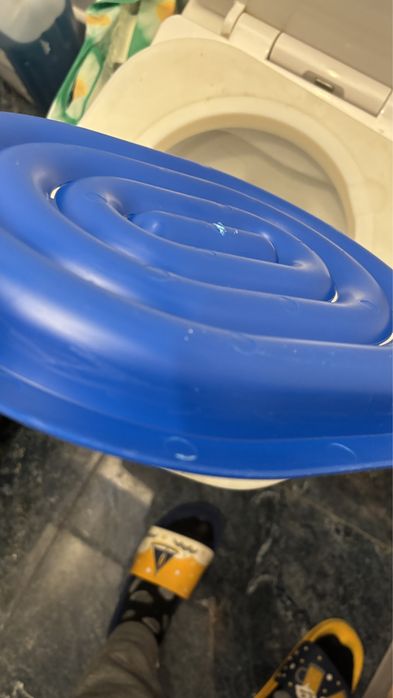 Kuweta dla kota na WC do nauki