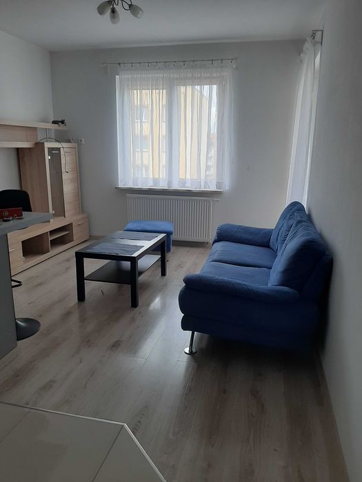 Do wynajęcia mieszkanie w Ciechanowie