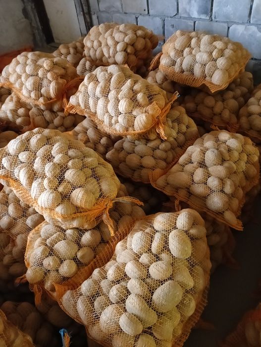 Ziemniaki Soraya jadalne