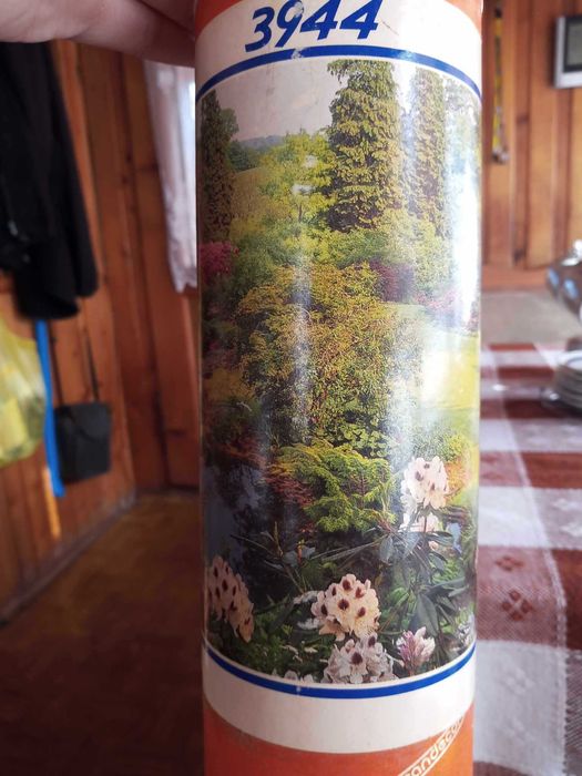 tapeta ścienna 388x274cm