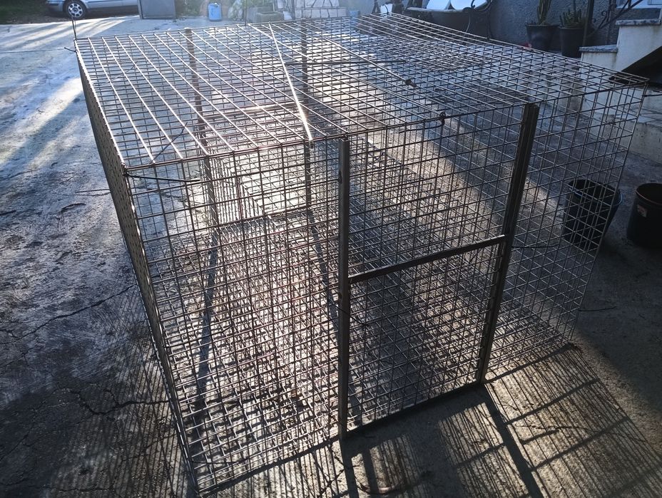 Gaiola captura com isco vivo