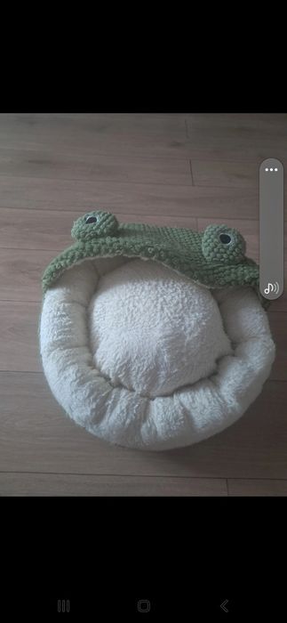 Posłanie żaba dla kota