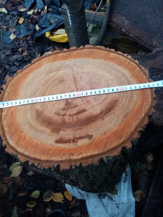 Продам деревянные колоды, кругляк с абрикосы