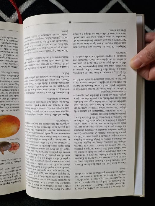 Livro Um Mundo de Sabores Frutos