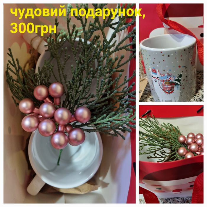 Чудовий подарунок на новий рік