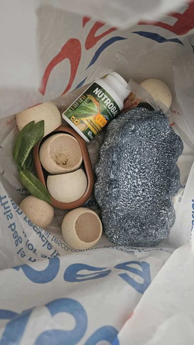 Sprzedam vivarium z akcesoriami