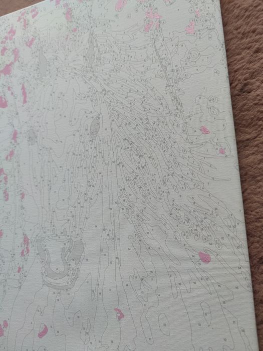 Obraz malowanie numerami koń