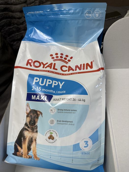 royal canin maxi puppy