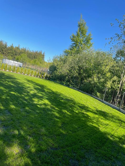 ogrodnik, ogród, skalniaki, plaze , kamien naturalny