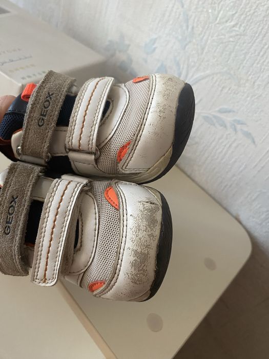 Кросівки Geox 24