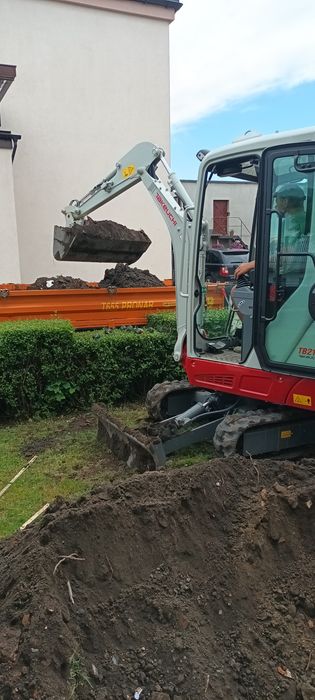 Trawa z rolki glebogryzarka separacyjna zakladanieOgrodowPrzycinanieTui