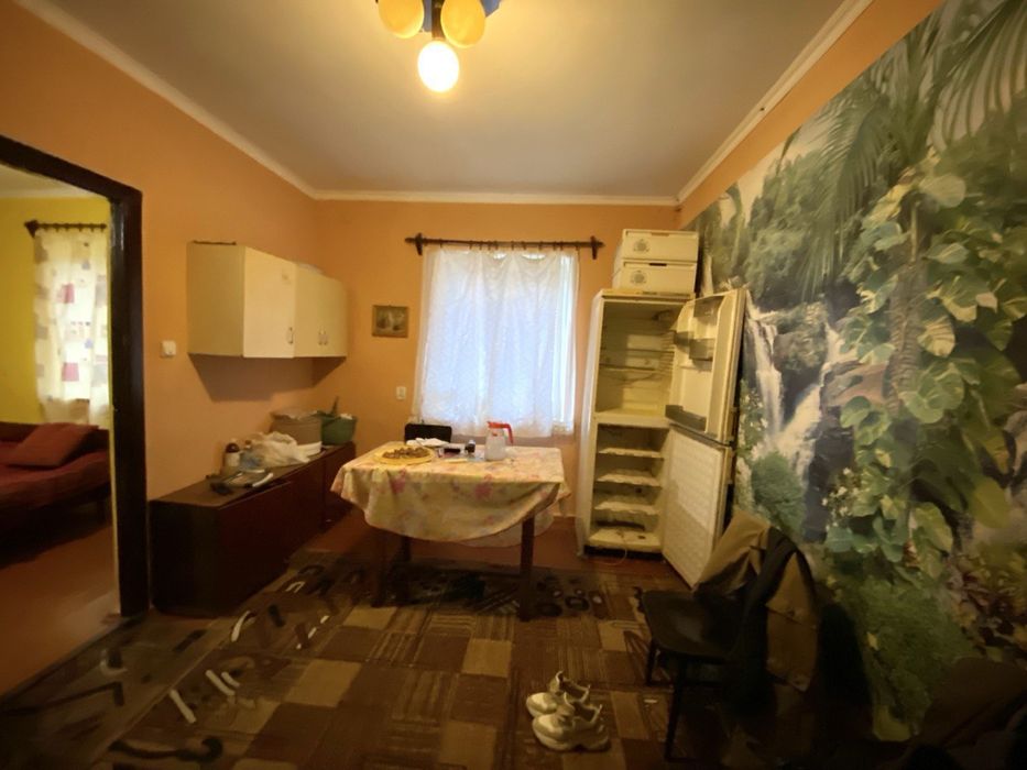 Продаж будинку з великою ділянкою