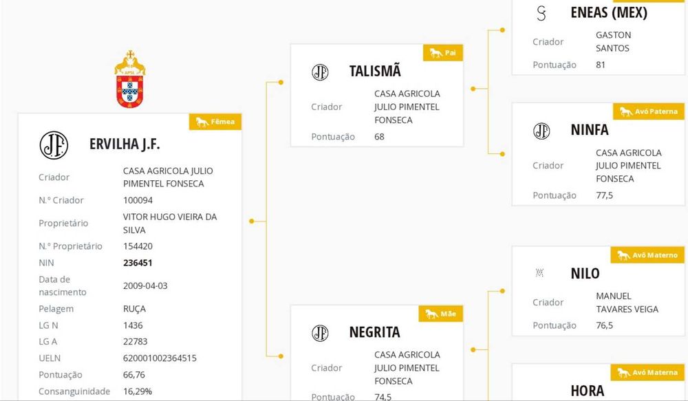 Égua Lusitana Reprodutora