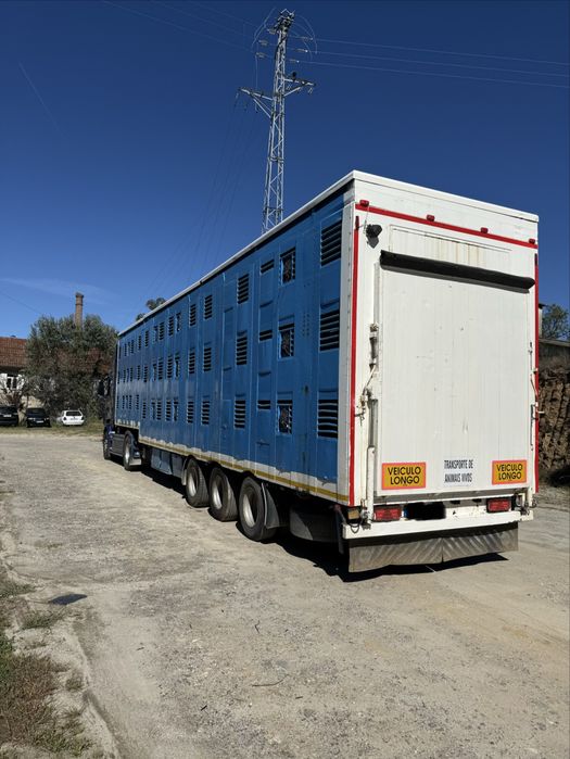 Conjunto\Scania 620 reboque de animais vivos