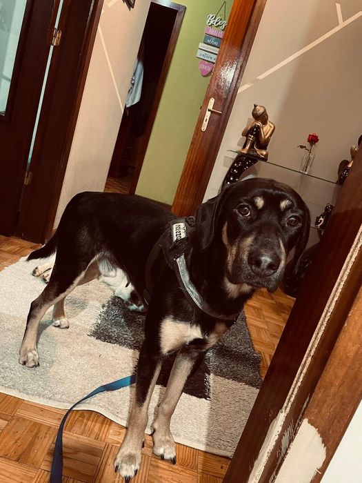 Mama e bebe para adopção responsável