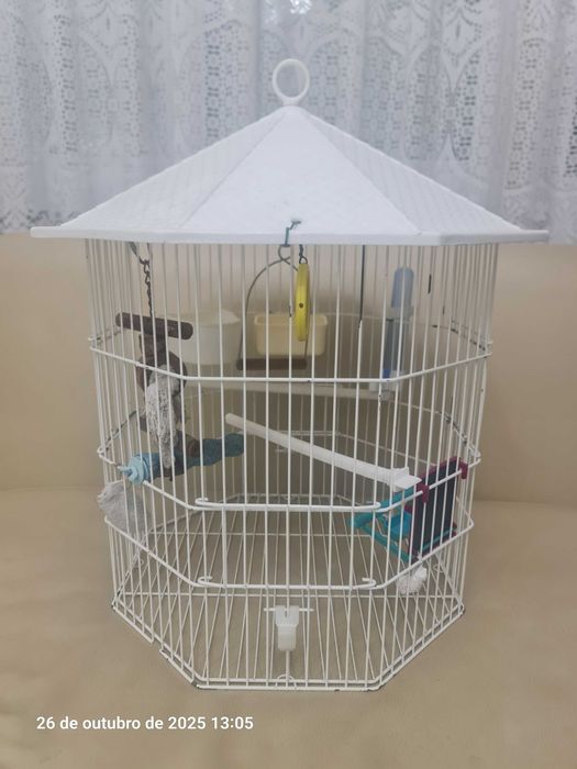 gaiola hexagonal - Nº 264553065358850120