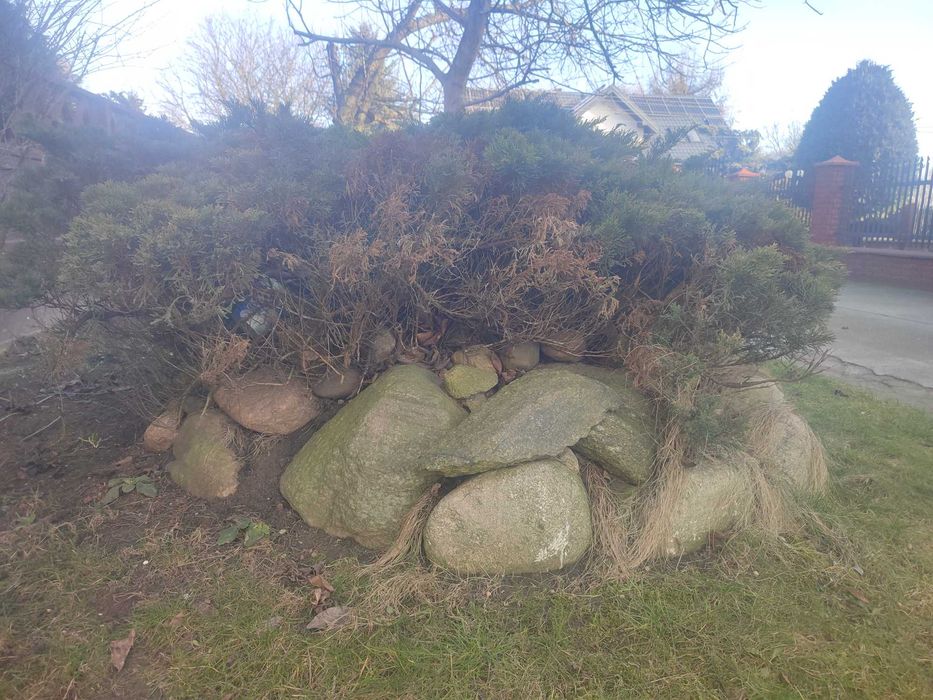 Kamienie ogrodowe głazy skalniak