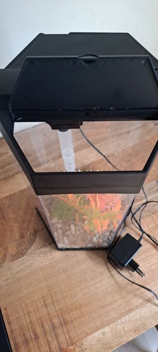 Aquário para peixes