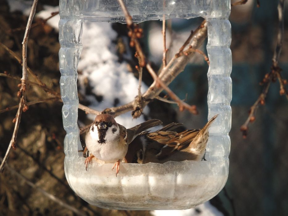 Sony cyber-shot dsc h400