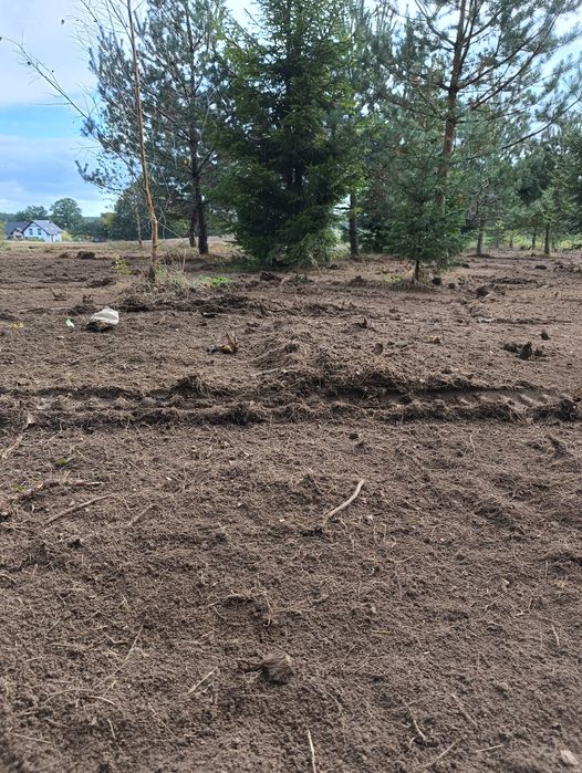 Czyszczenie działek,wycinka drzew,rekultywacja terenów,niwelacje