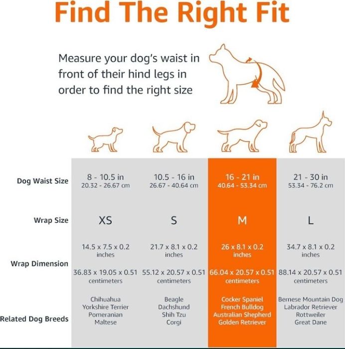 Amazon Basic pieluchy dla psa rozmiar S 50 sztuk druga paczka gratis