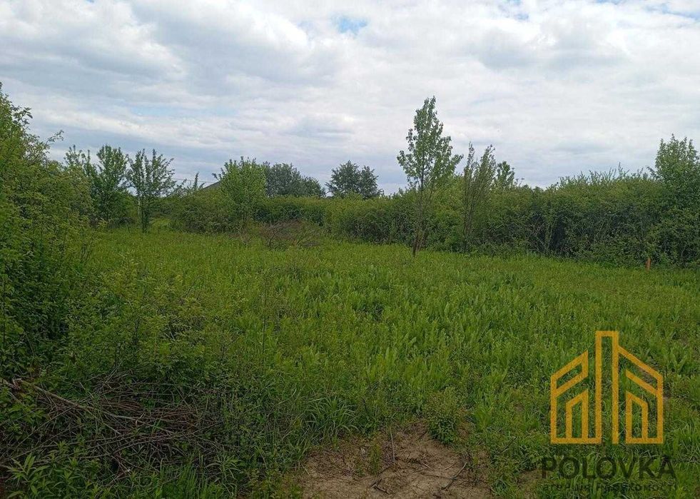 Продаж земельної ділянки, Садовий