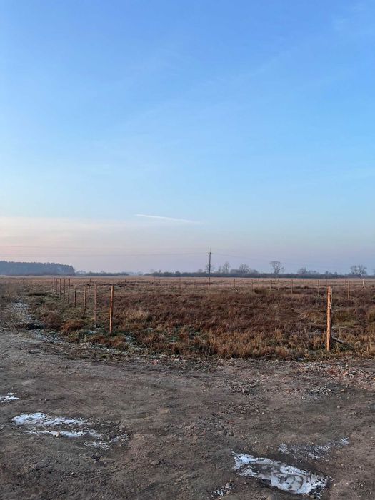 Działka na sprzedaż w Pucicach