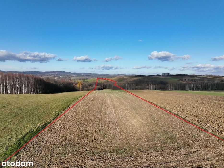 Ponad 1,5 ha działka w Ołpinach gm. Szerzyny