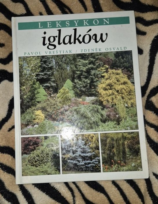 Leksykon iglaków książka