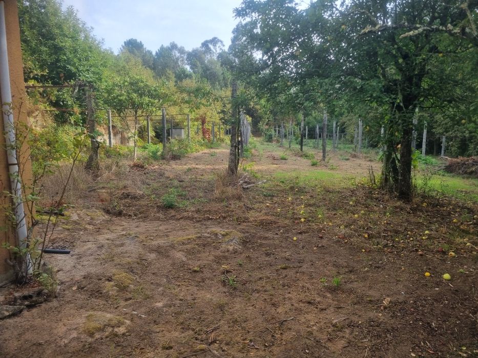Quinta à beira do rio Tâmega