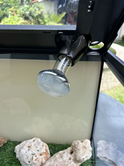 Terrário para Répteis 62x36x31 cm – Completo com 2x tapete sintentico e como novo