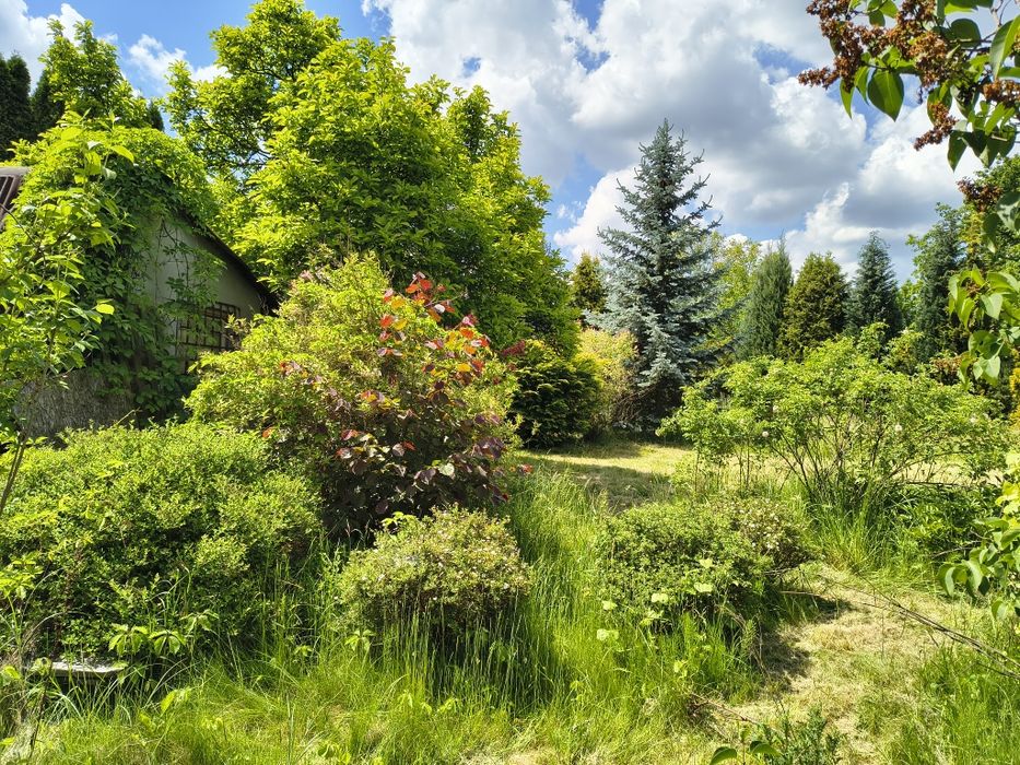 Działka ROD 705 m² Narutowicza - Widok 6