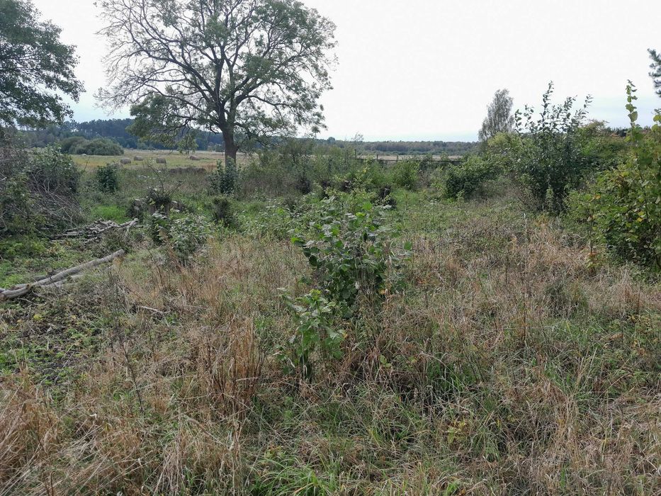 Działka budowlana