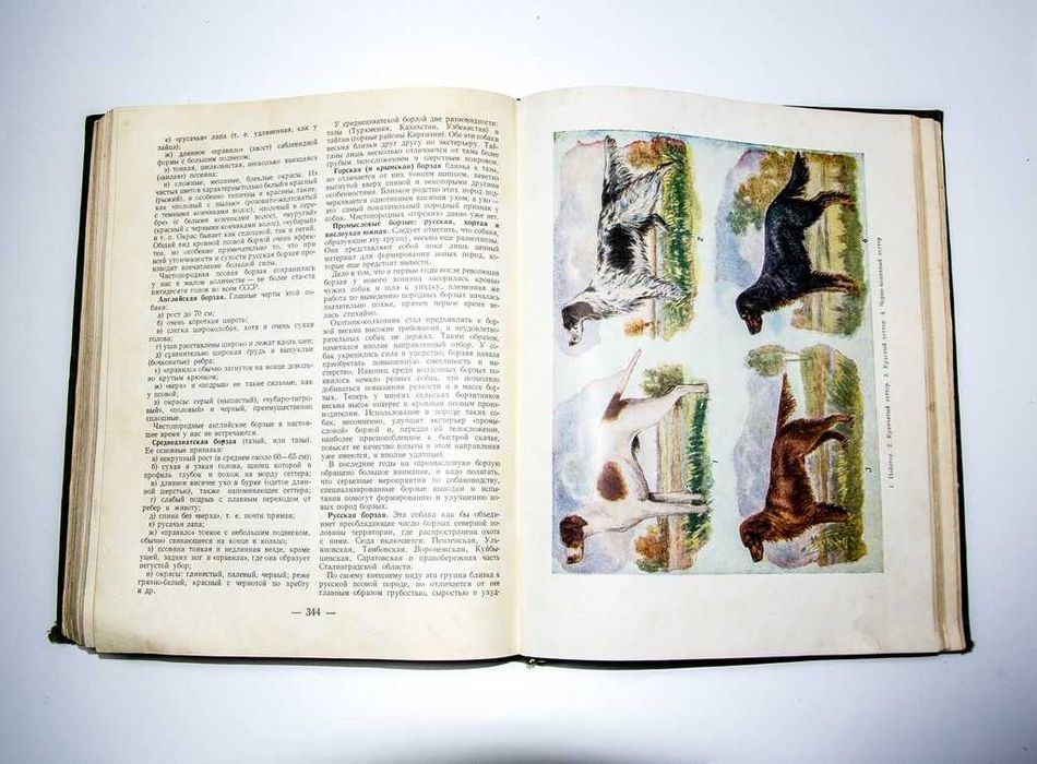 Настольная книга охотника-спортсмена. Том II. 1956