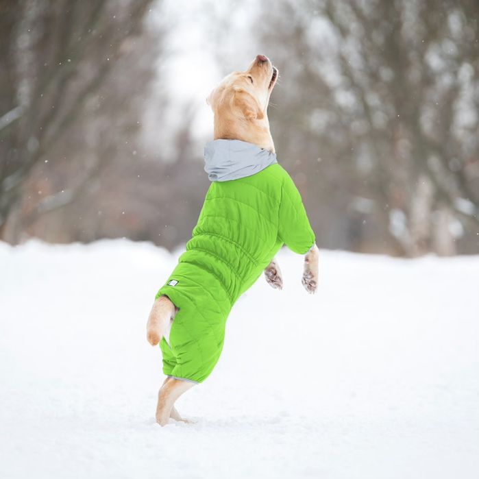 Одяг для собак зоотовари комбінезон великі розміри