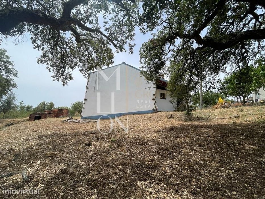 Oportunidade em Montes da Senhora, Proença-a-Nova: Moradia + vários