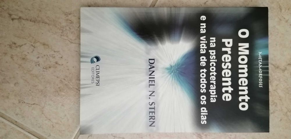 O Momento Presente - Daniel N. Stern
