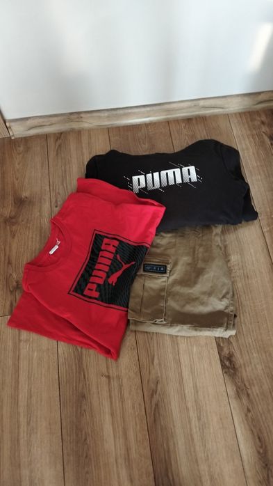 Spodni, t-shirt, bluza -rezerwacja