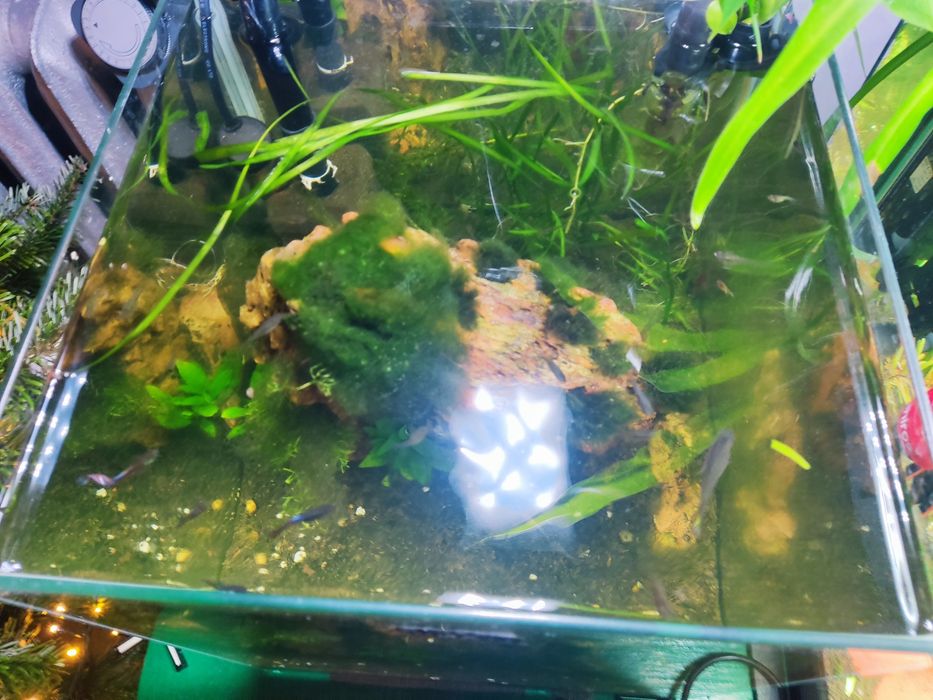 Akwarium Aquael 30l stabilne