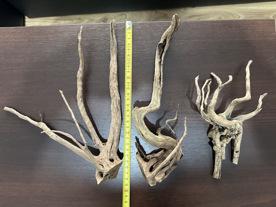 Korzeń do akwarium japoński red moor