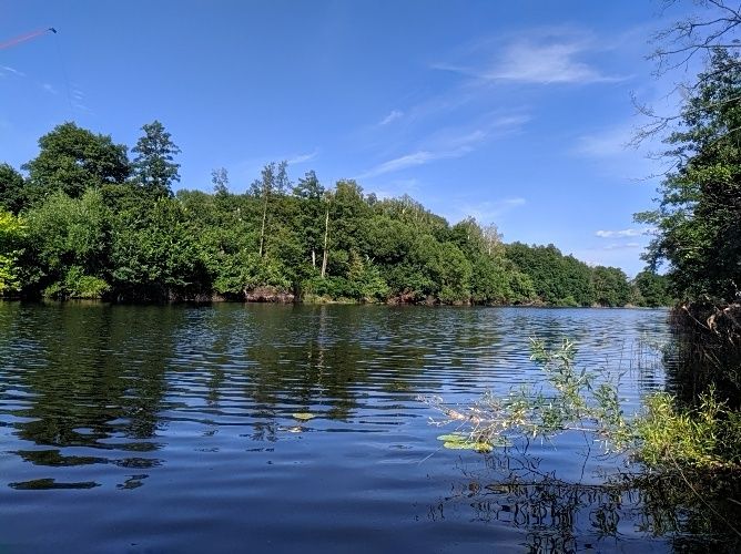 Продам будинок в с. Виблі