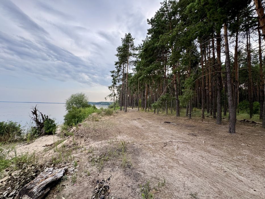 Продаж ділянки від 40 соток до 10Га. с. Ясногородка Киівська область