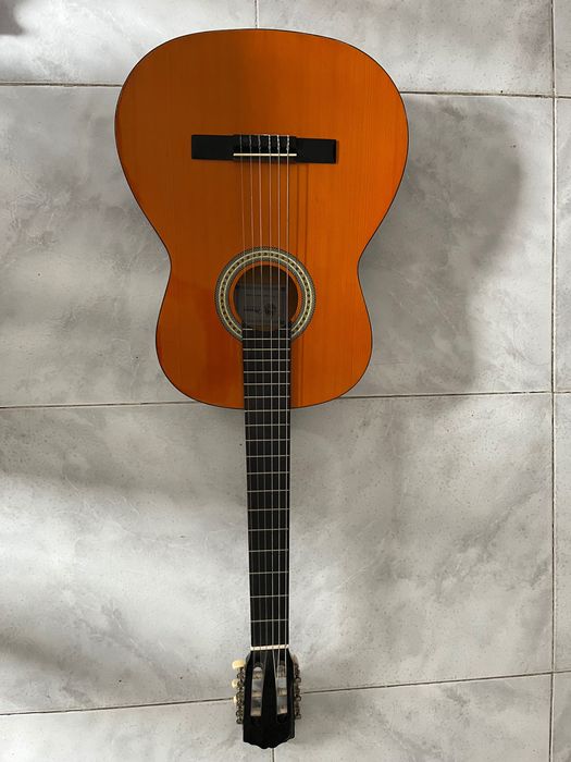 Messina classical viola475852506944645121