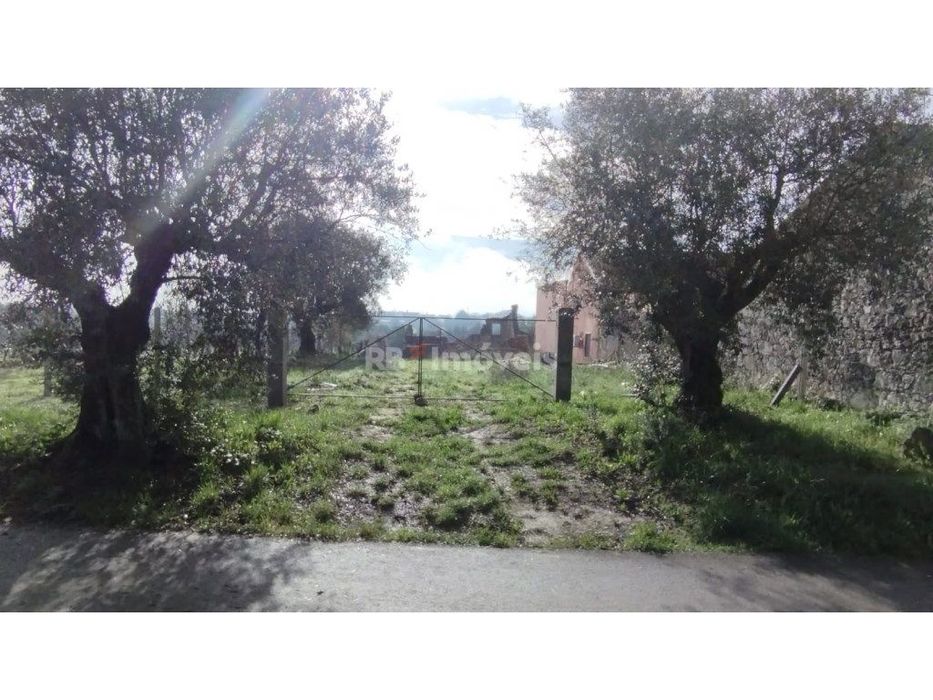 Terreno misto com 3080 m2, em Delongo