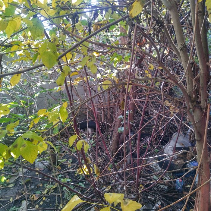 Гараж металевий з місцем