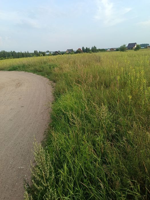 Działka budowlana w miejscowości Tobołowo - Widok 4