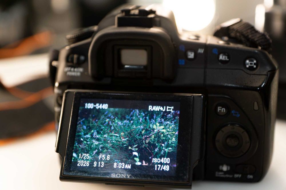 Aparat Sony A350